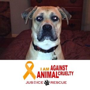 Meet your Posher, Wayne